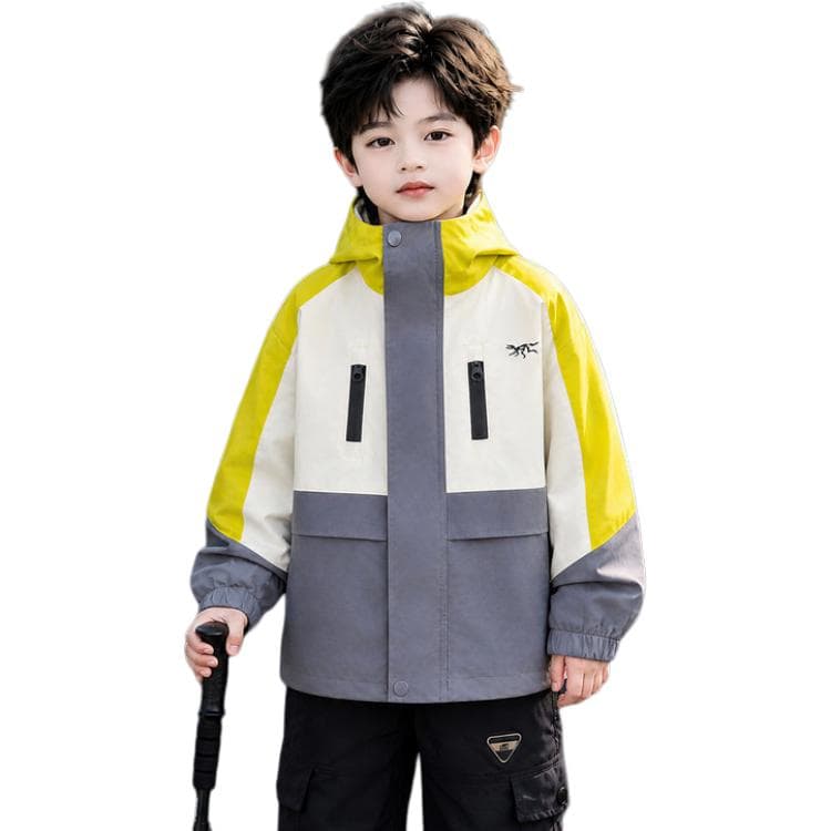 BOBBY ABLEY Бежевый и Серый 3-в-1 (Подкладка + Пальто) Школьная Туристическая Одежда - изображение 1