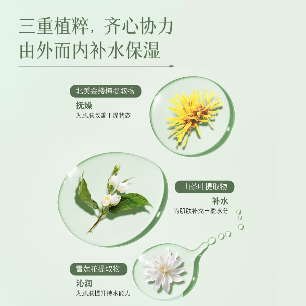 HANHOO 120ml*5 - изображение 5