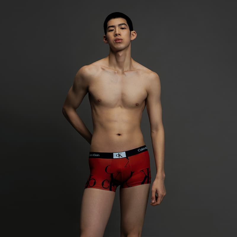 Трусы Calvin Klein FW23 CK96 - изображение 2