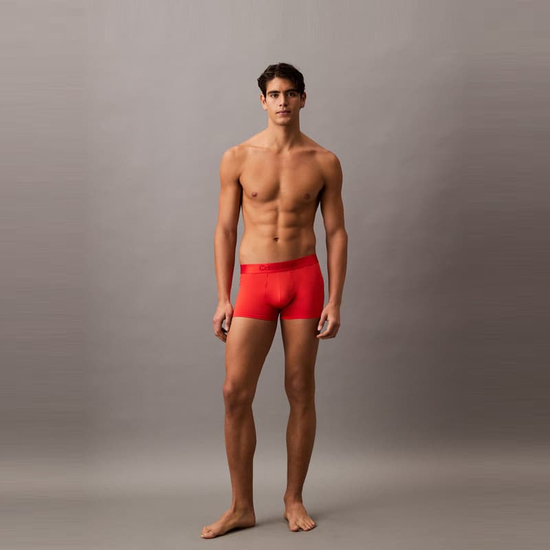 Трусы CALVIN KLEIN 4D 1 - изображение 4