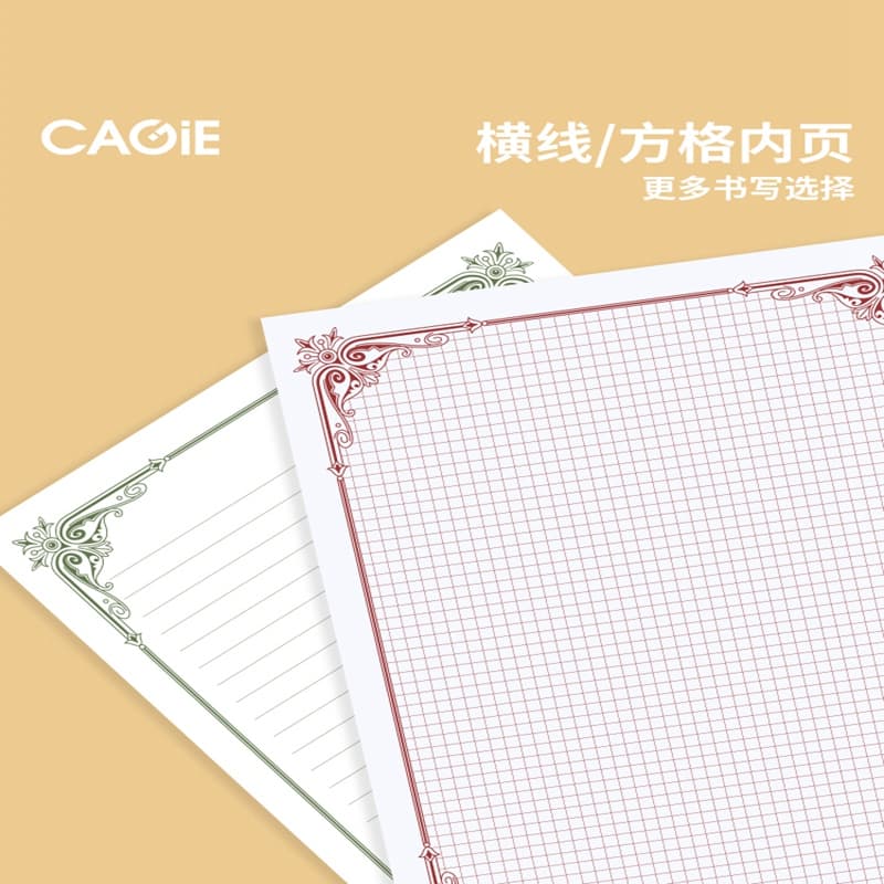 CAGIE B5ins100 - изображение 5