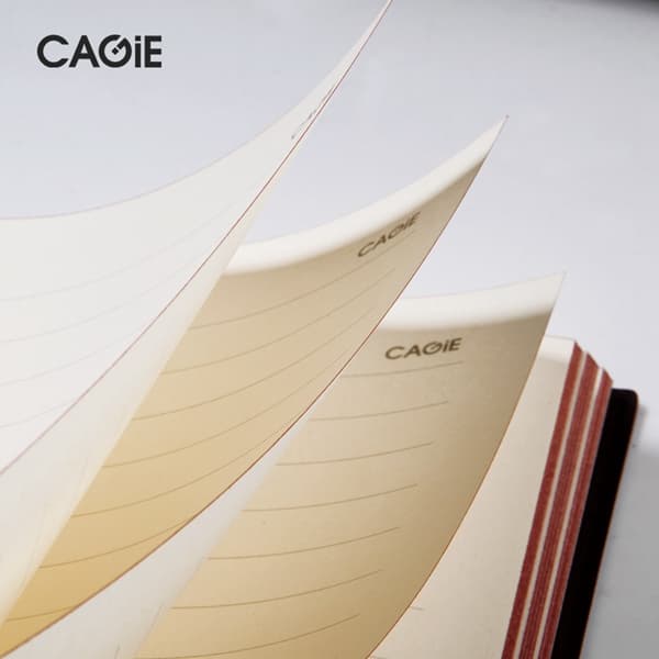 CAGIE A6 - изображение 4
