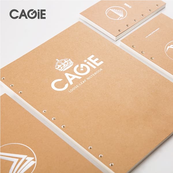 CAGIE A5A6B5 - изображение 4