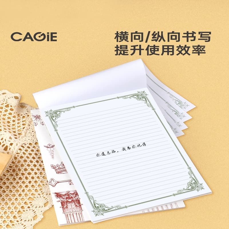 CAGIE B5ins100 - изображение 4