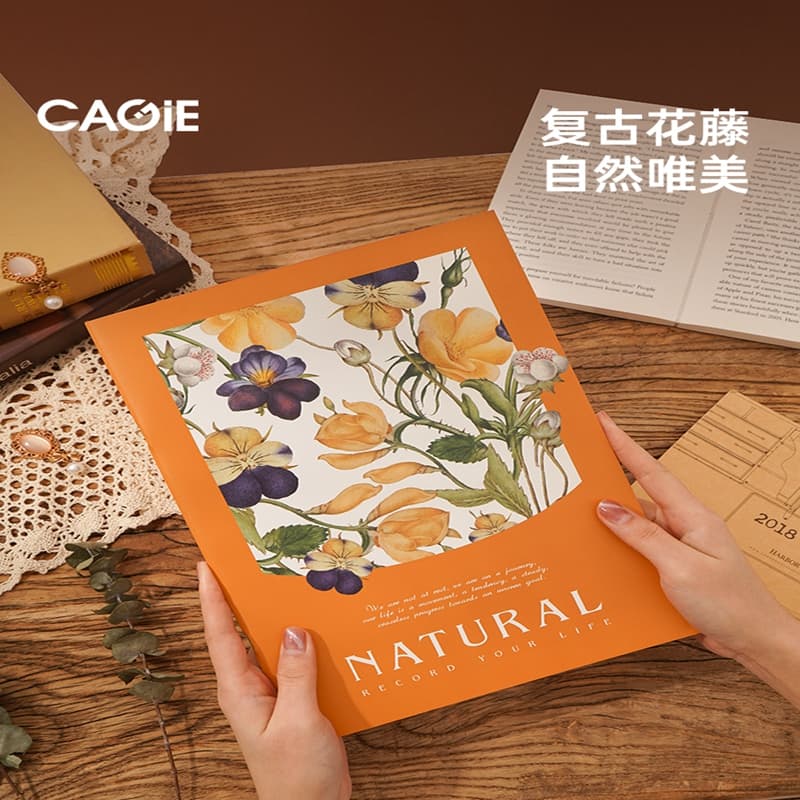 CAGIE A4 100 - изображение 7