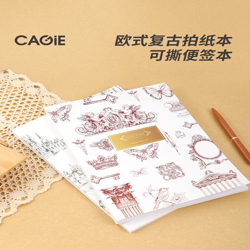 CAGIE B5ins100 - изображение 3