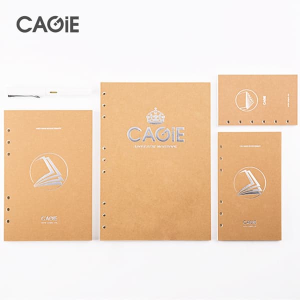 CAGIE A5A6B5 - изображение 3