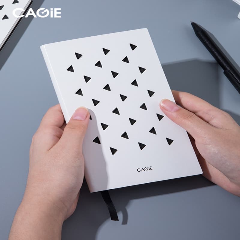 CAGIE A6A4 - изображение 6