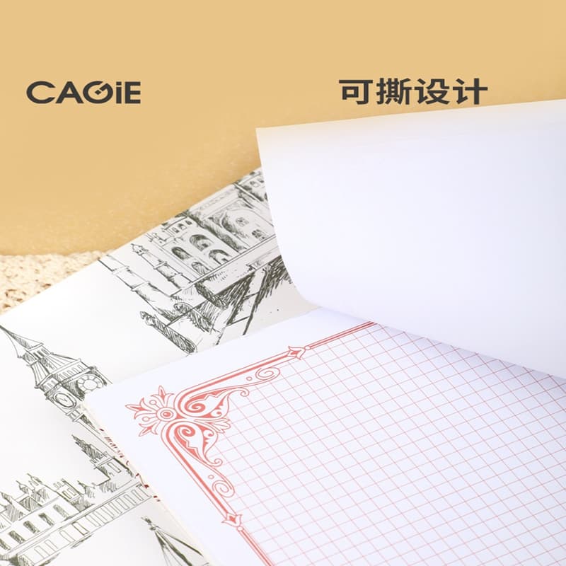 CAGIE B5ins100 - изображение 7