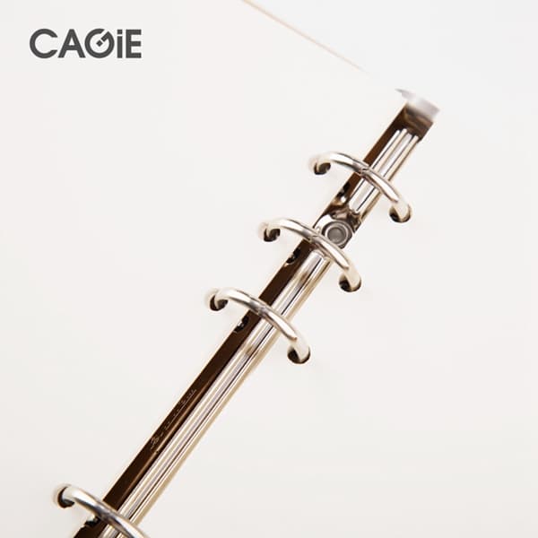 CAGIE A5A6B5 - изображение 5