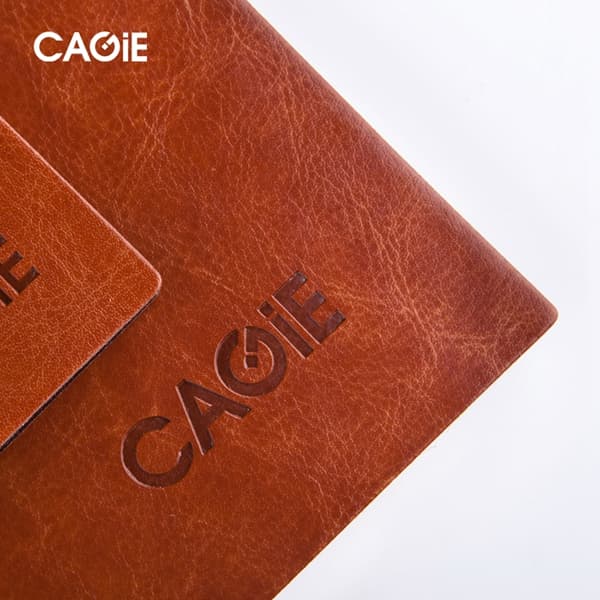 CAGIE A6 - изображение 3