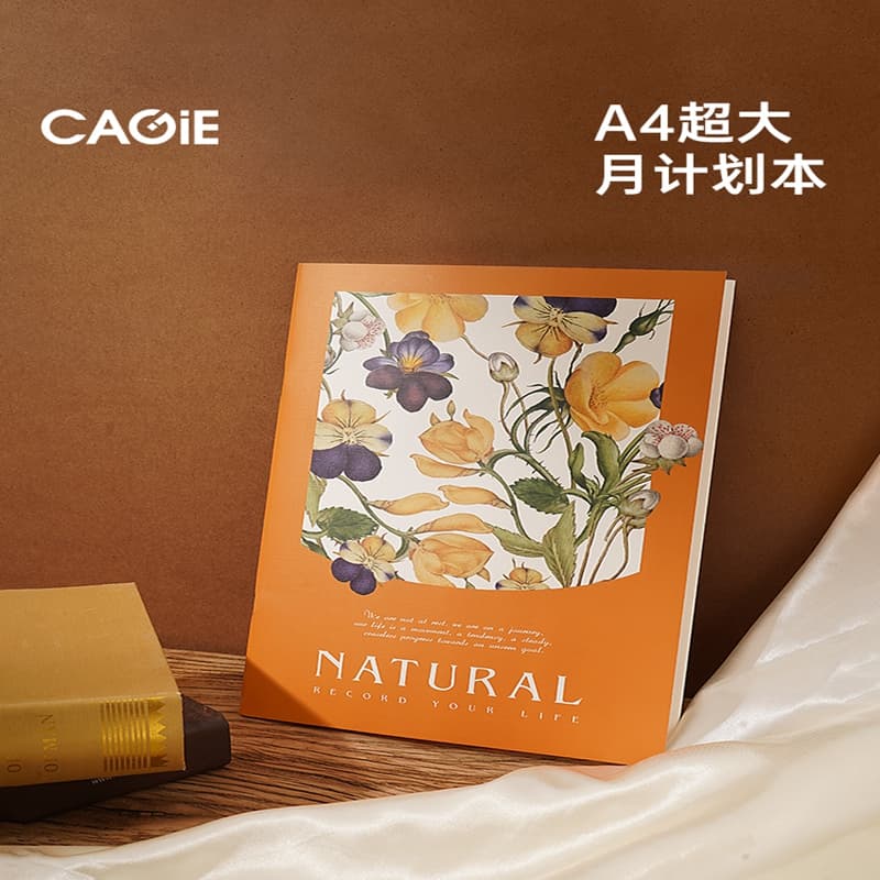 CAGIE A4 100 - изображение 3