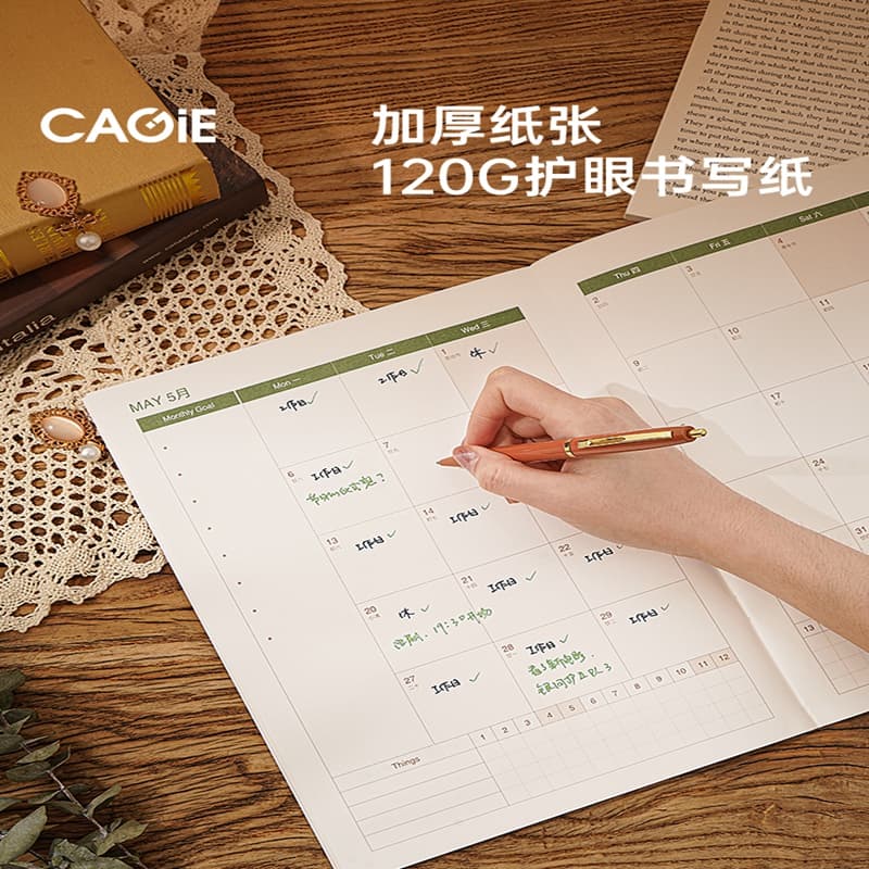 CAGIE A4 100 - изображение 4