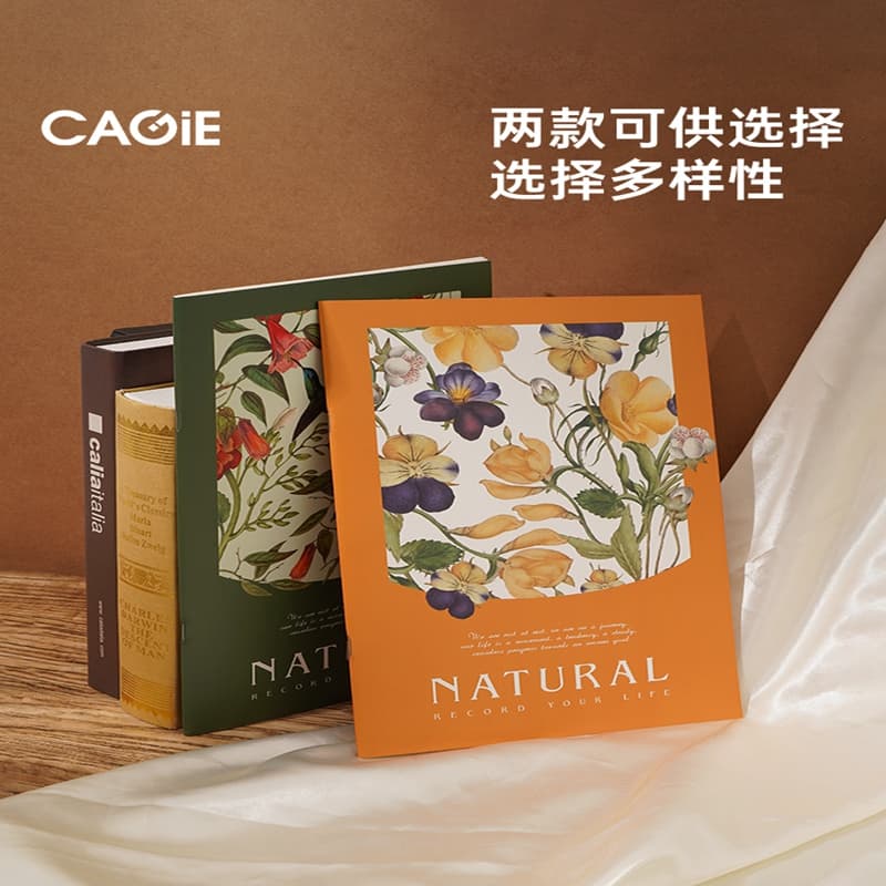 CAGIE A4 100 - изображение 6