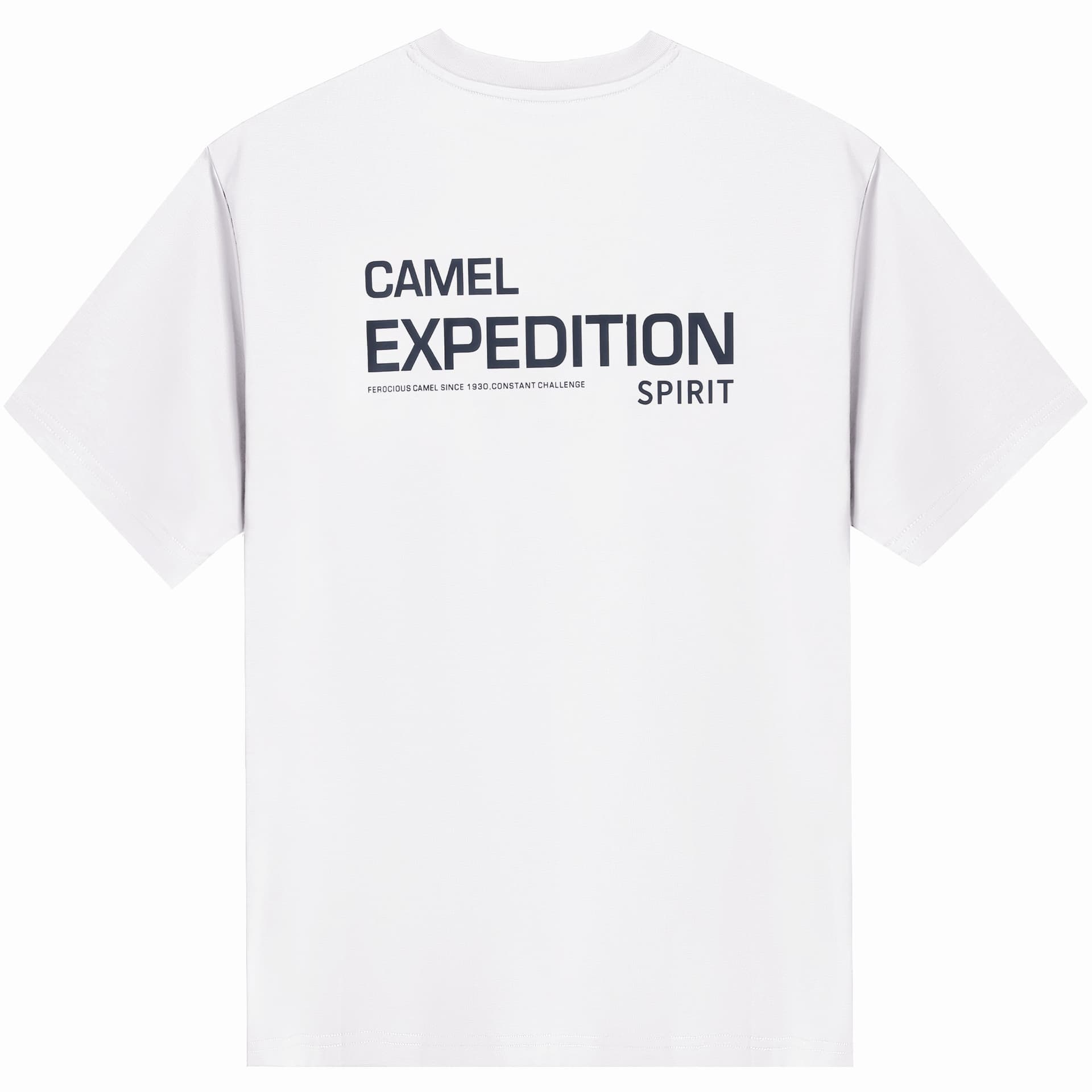 CAMEL Футболка для похода и альпинизма, дышащая, быстросохнущая, весенне-летняя, унисекс - изображение 2