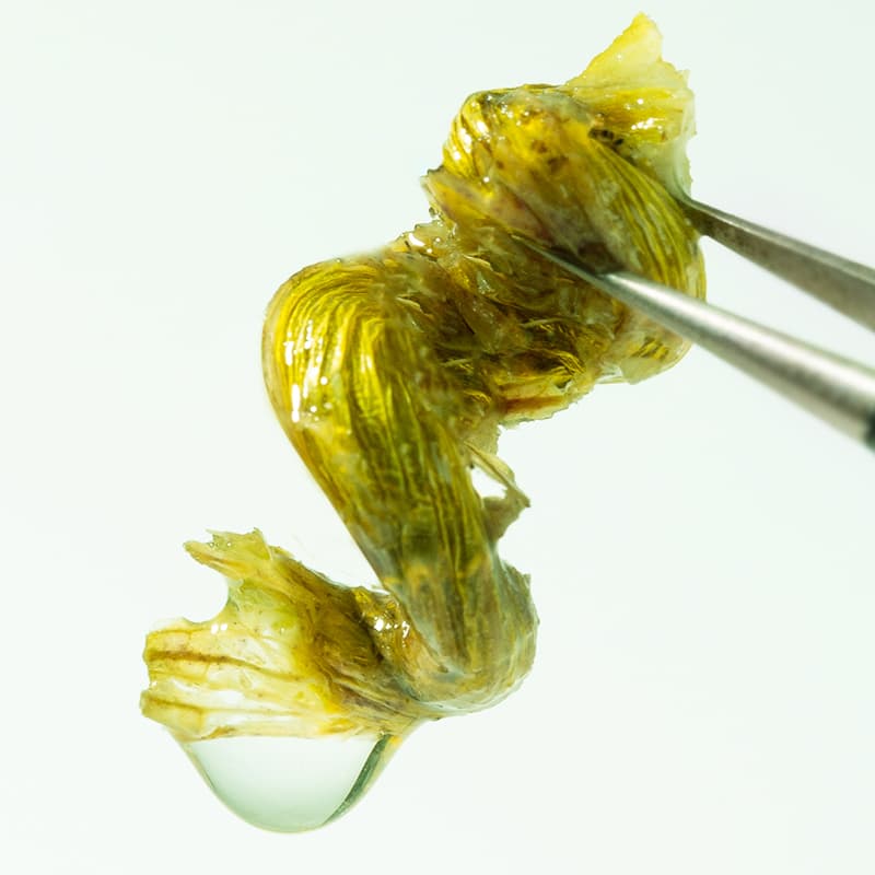 100g - изображение 2