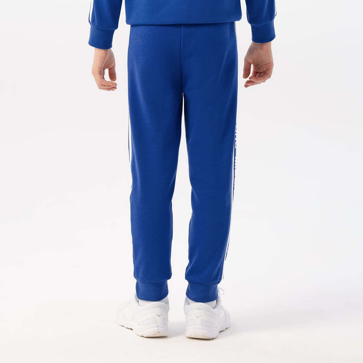 Mizuno Logo - изображение 5