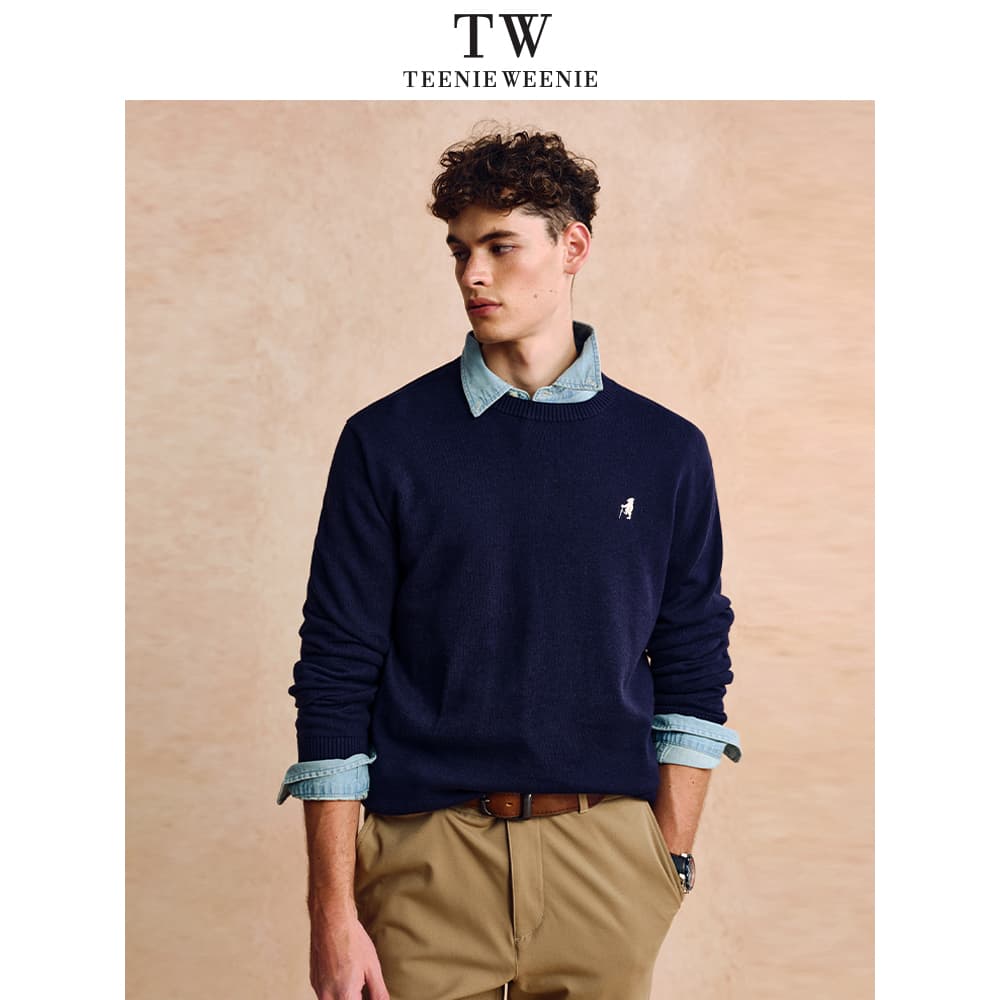 Кофта Teenie Weenie Men American Old Money Style Collection Свитер Сумка для покупок Мужской - изображение 4
