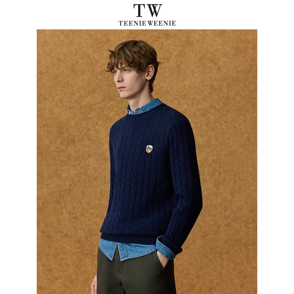 Кофта Teenie Weenie Men Evergreen Collection Мужские Свитера - изображение 4