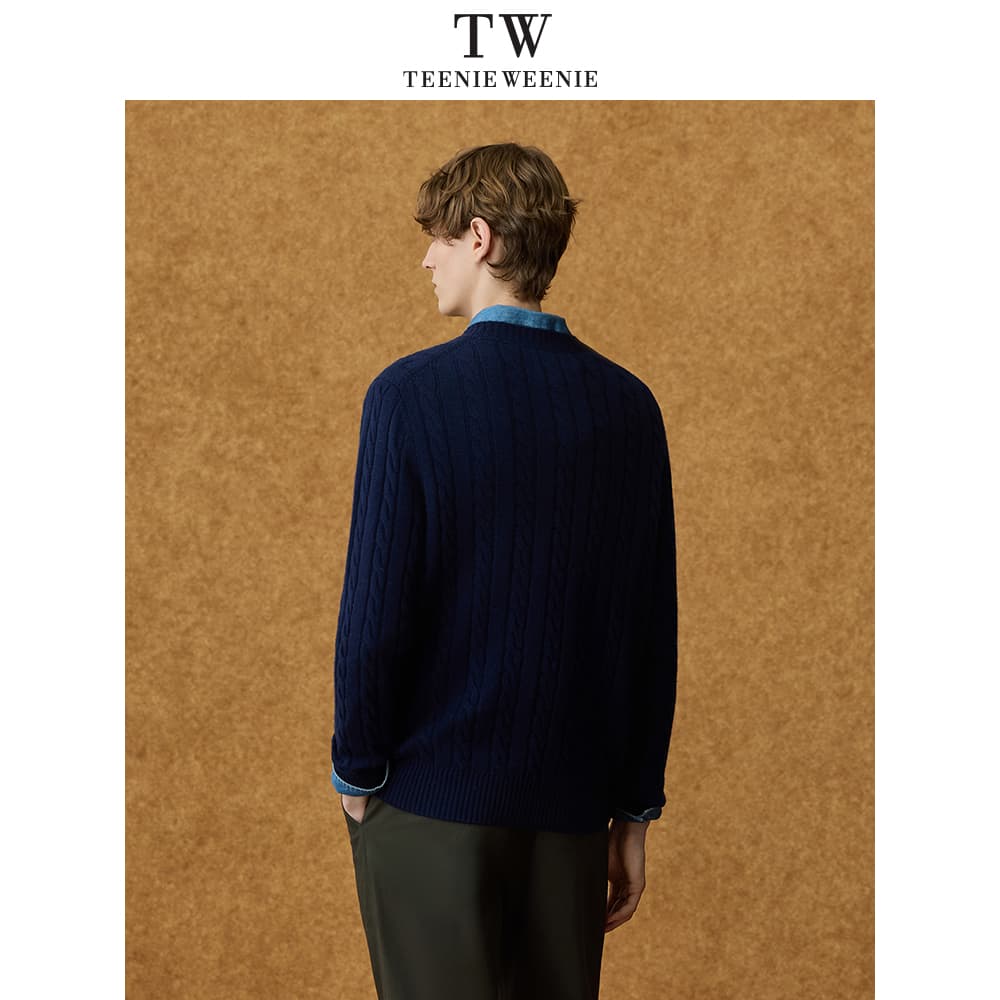 Кофта Teenie Weenie Men Evergreen Collection Мужские Свитера - изображение 5