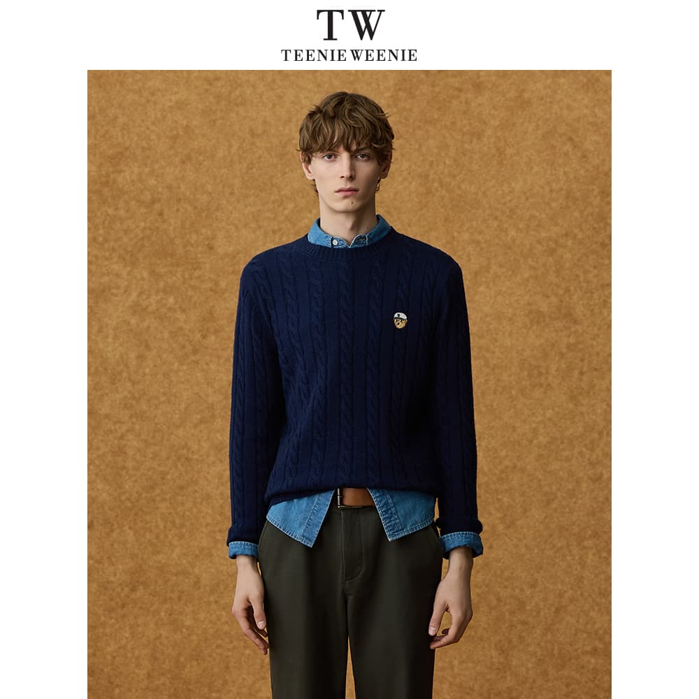Кофта Teenie Weenie Men Evergreen Collection Мужские Свитера - изображение 3