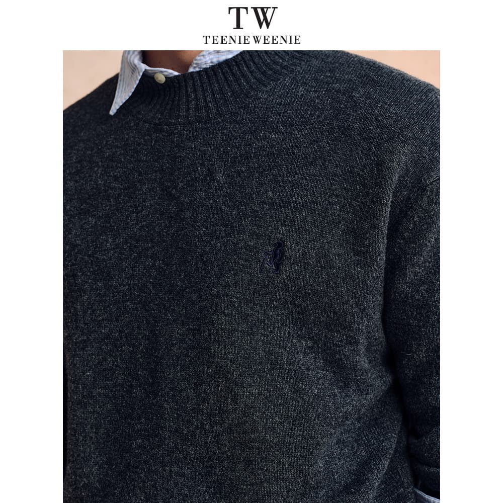 Кофта Teenie Weenie Men American Old Money Style Collection Унисекс Свитеры - изображение 6