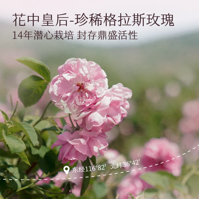 250ml*2 - изображение 3