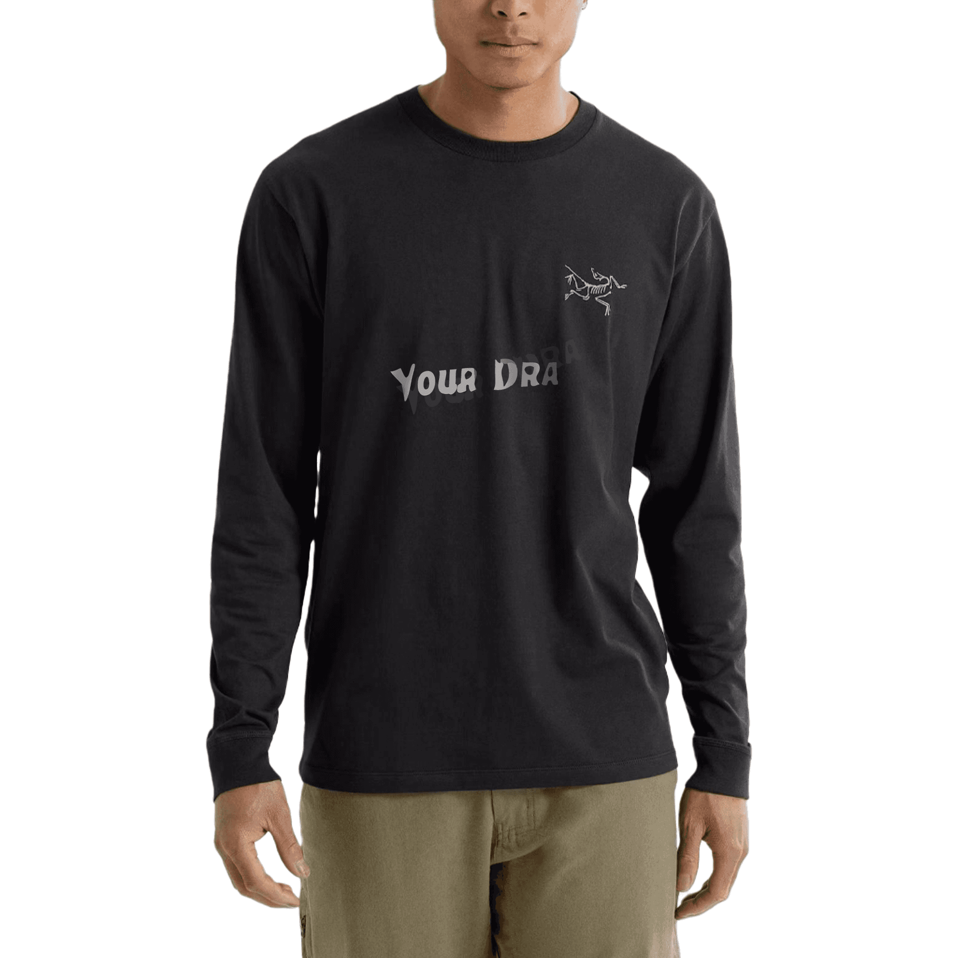 Футболка Arcteryx LogoT — фото 4