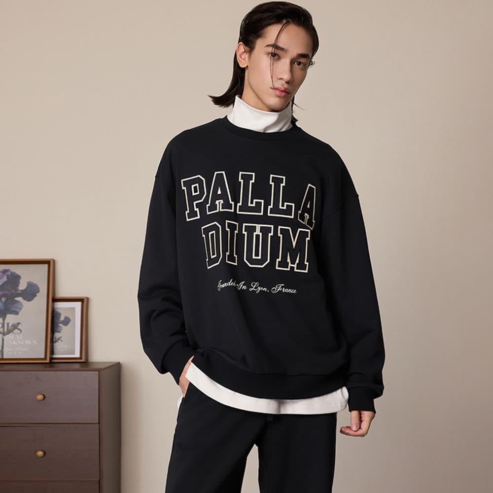Худи Palladium - изображение 5