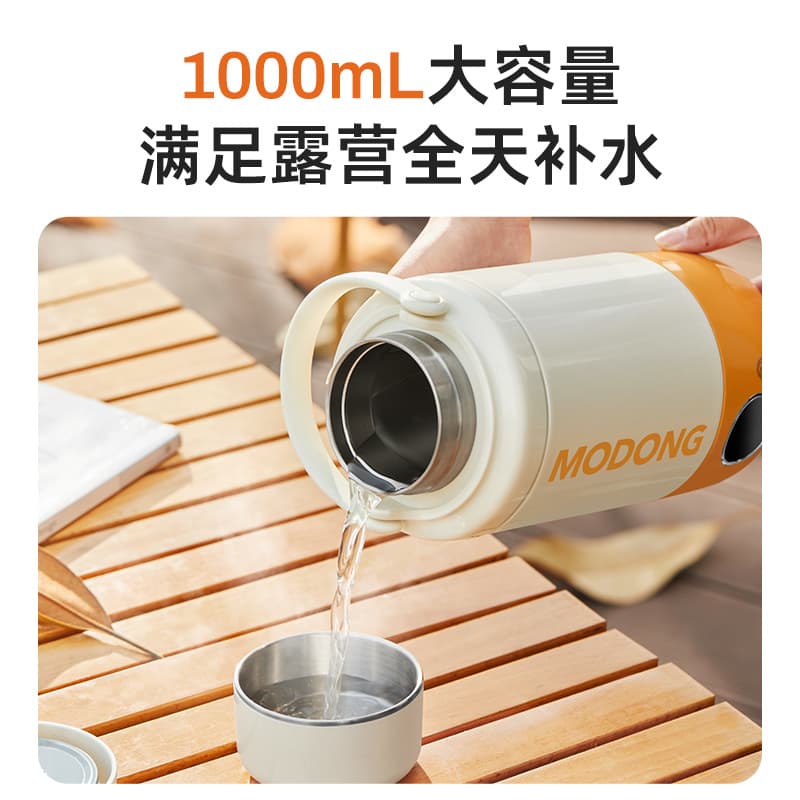 MD-DSH03 1000 - изображение 3