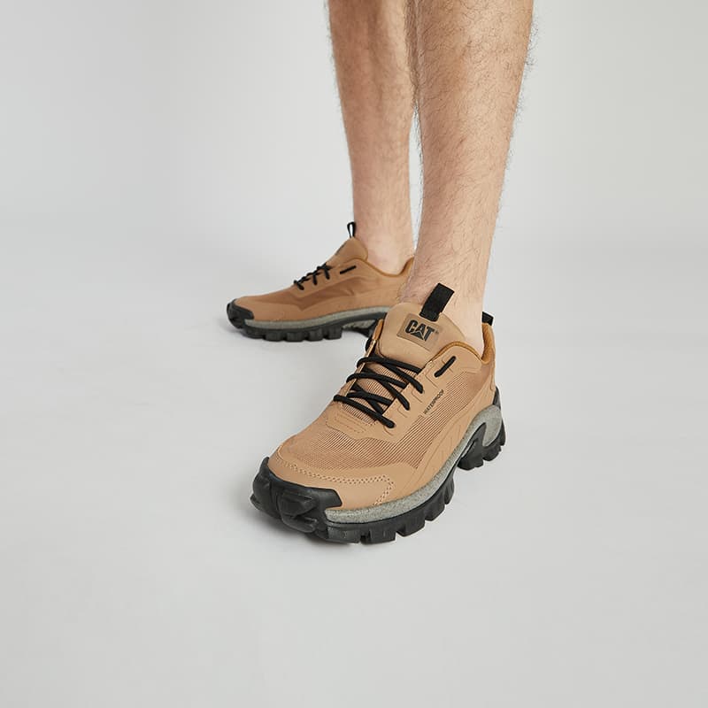 Кроссовки CAT SS24 - изображение 8
