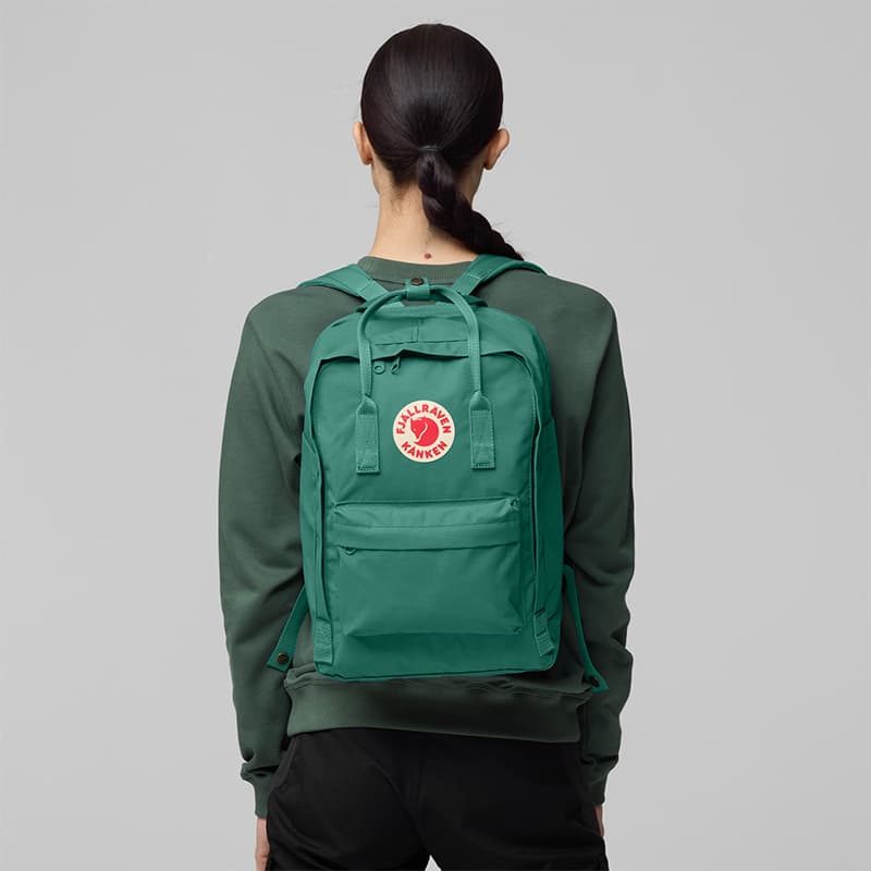 Рюкзак FJALLRAVEN laptop 23524 664 18L - изображение 5