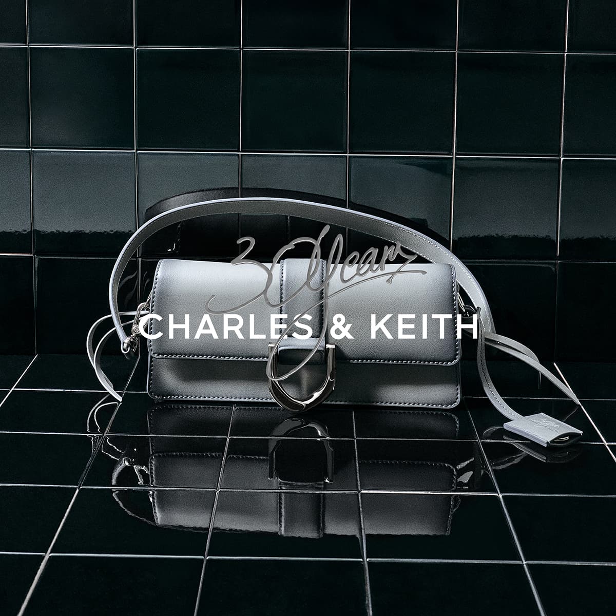 Мини-сумка CHARLES KEITH Сумка через плечо Серого цвета (включая аксессуары) Женская - изображение 4