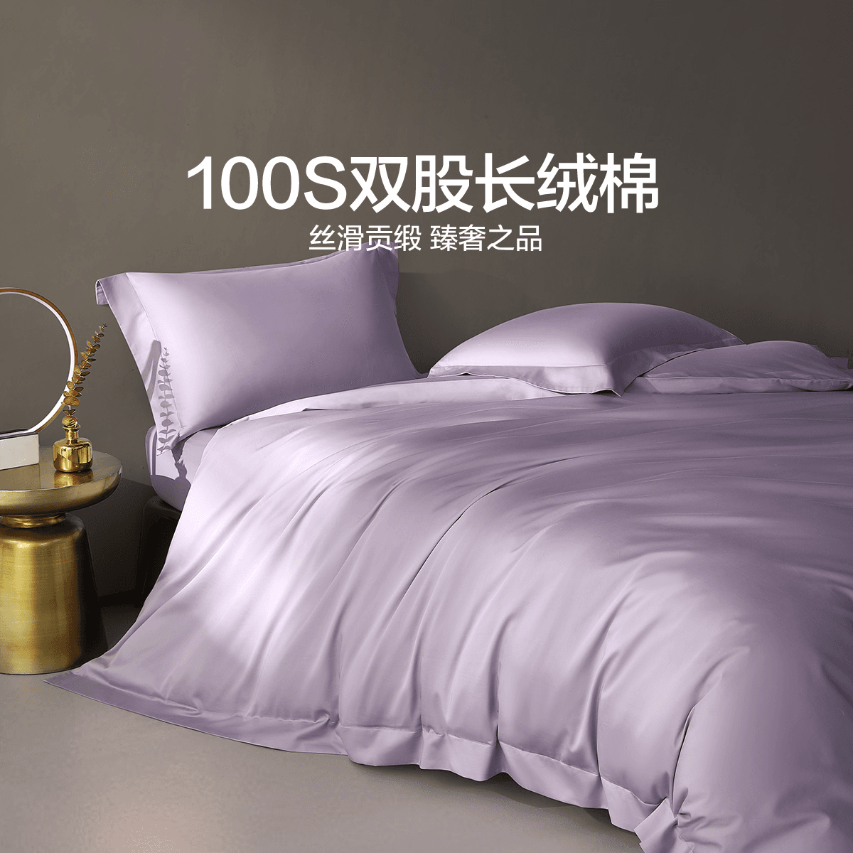 MERCURY 100S - изображение 5