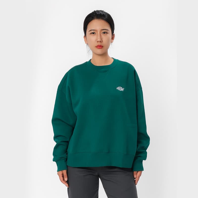 Худи dickies - изображение 3