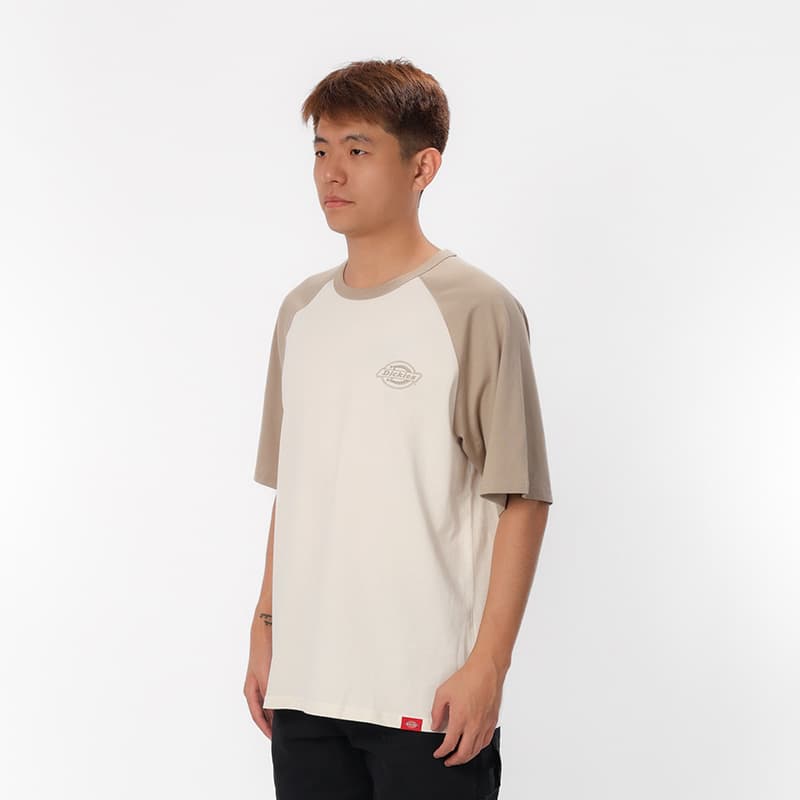 Футболка dickies logoT - изображение 4