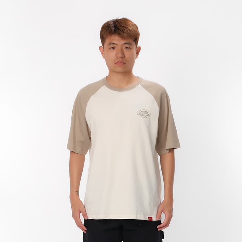 Футболка dickies logoT - изображение 3