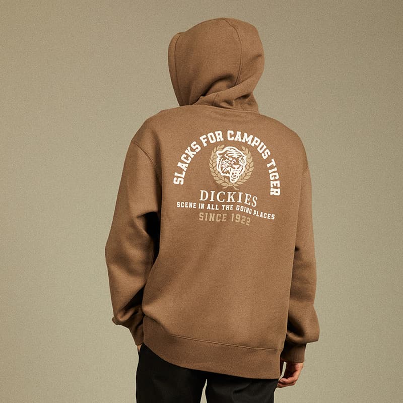 Худи Dickies Logo - изображение 4