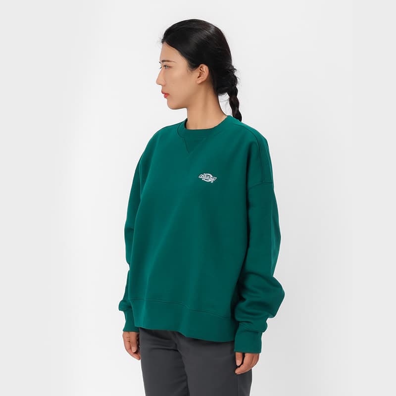 Худи dickies - изображение 4