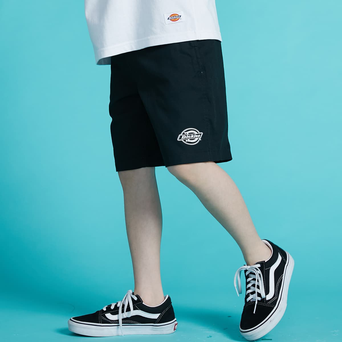 Dickies Logo - изображение 6