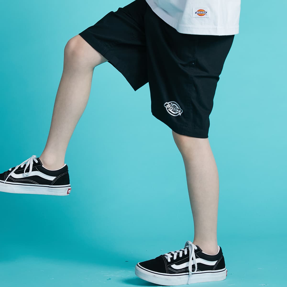 Dickies Logo - изображение 3