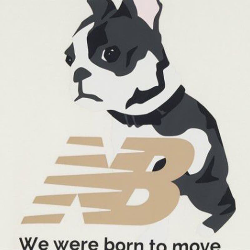 Худи New Balance AWT33335 CIC Женские Толстовки - изображение 3