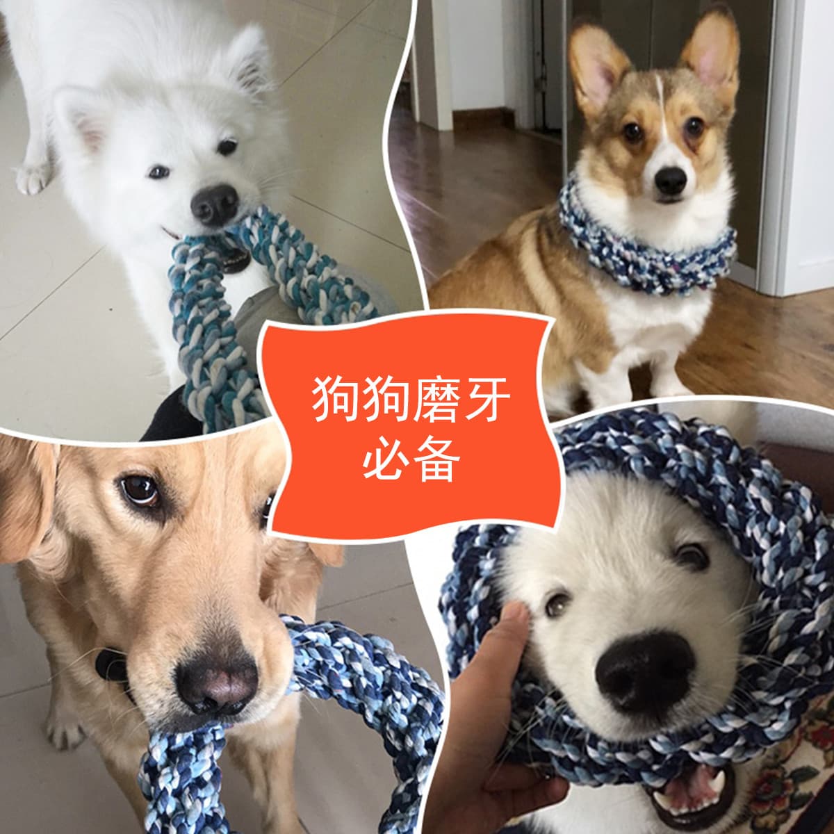 kimpets 4 - изображение 4