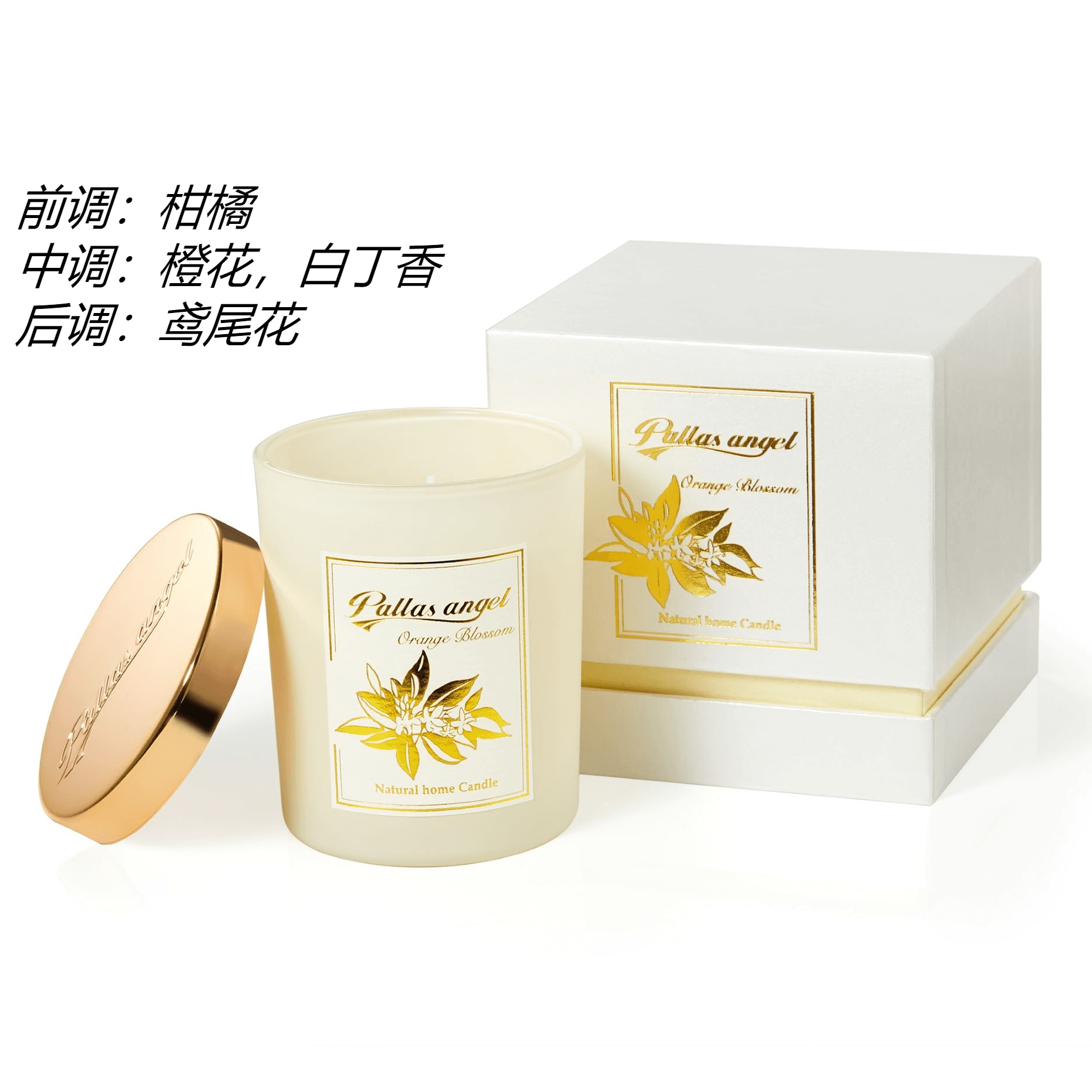 Pallas Angel 150 - изображение 2