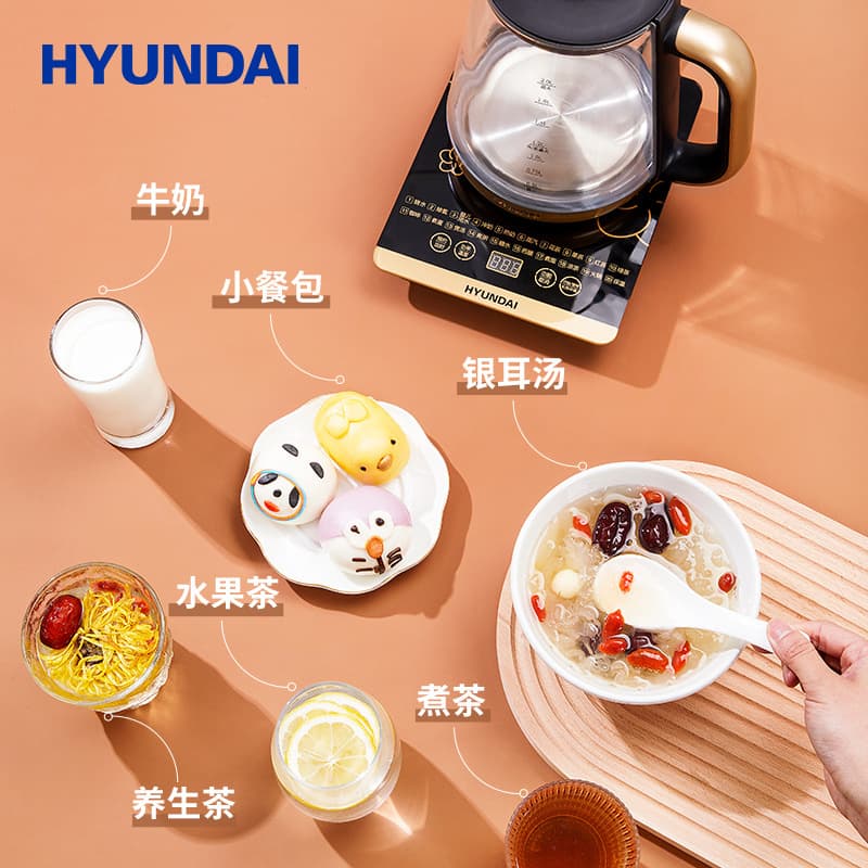 HYUNDAI D8000 - изображение 3