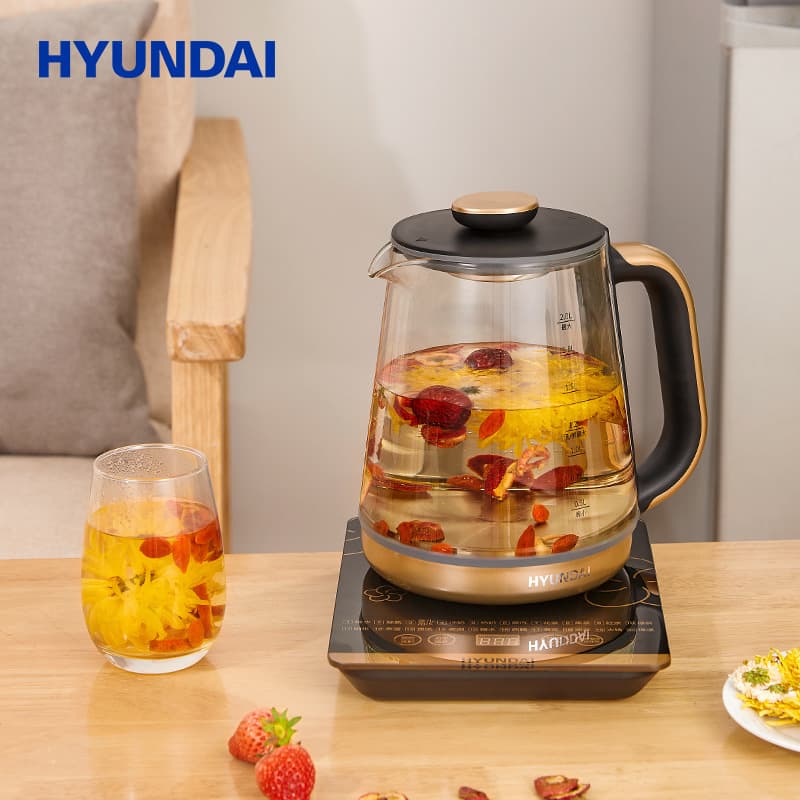 HYUNDAI D8000 - изображение 6