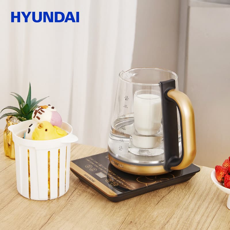 HYUNDAI D8000 - изображение 2