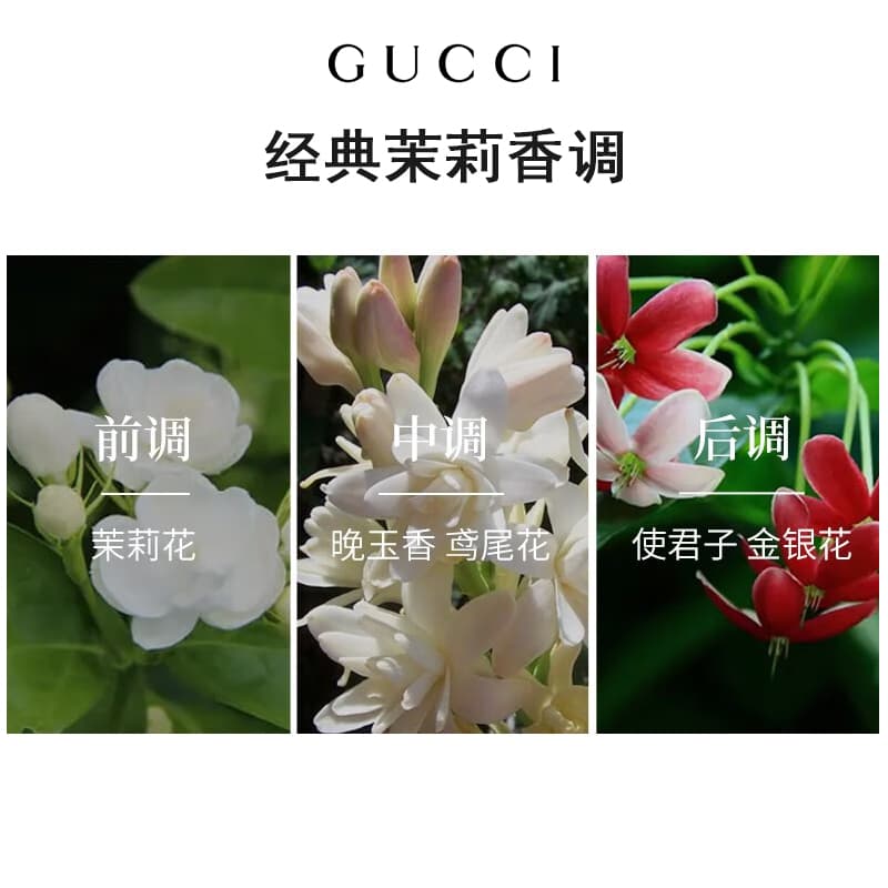 Gucci - изображение 2