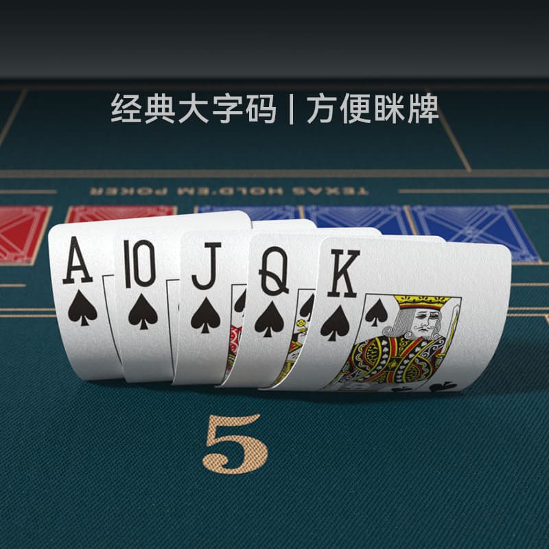 WPTpvc10 - изображение 5