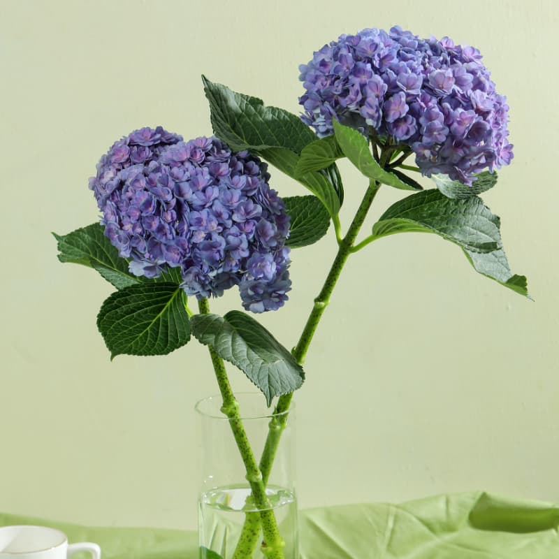 23 - изображение 2